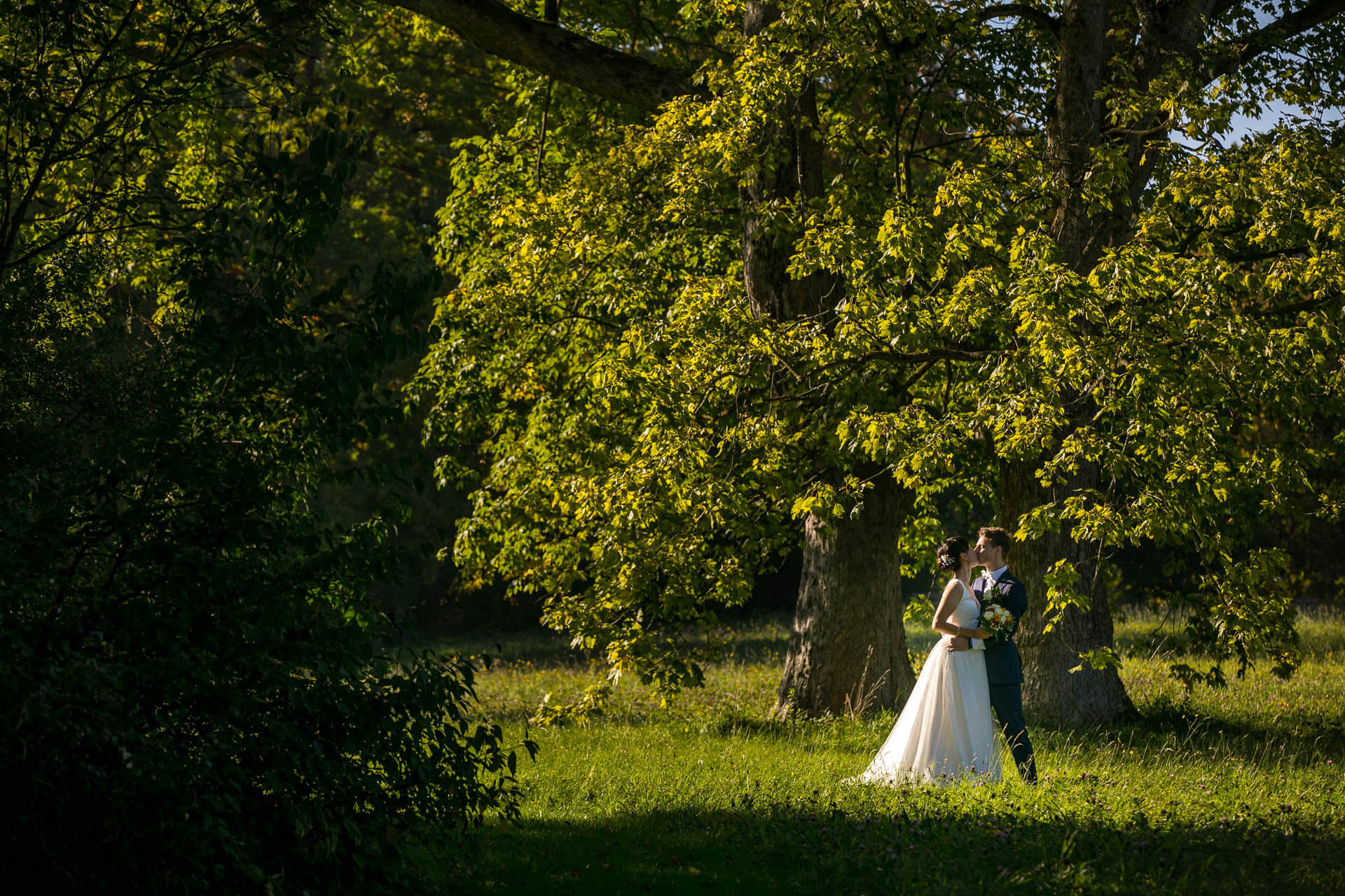 Brautpaarshooting Kussbild unter Bäumen im Sonnenuntergang