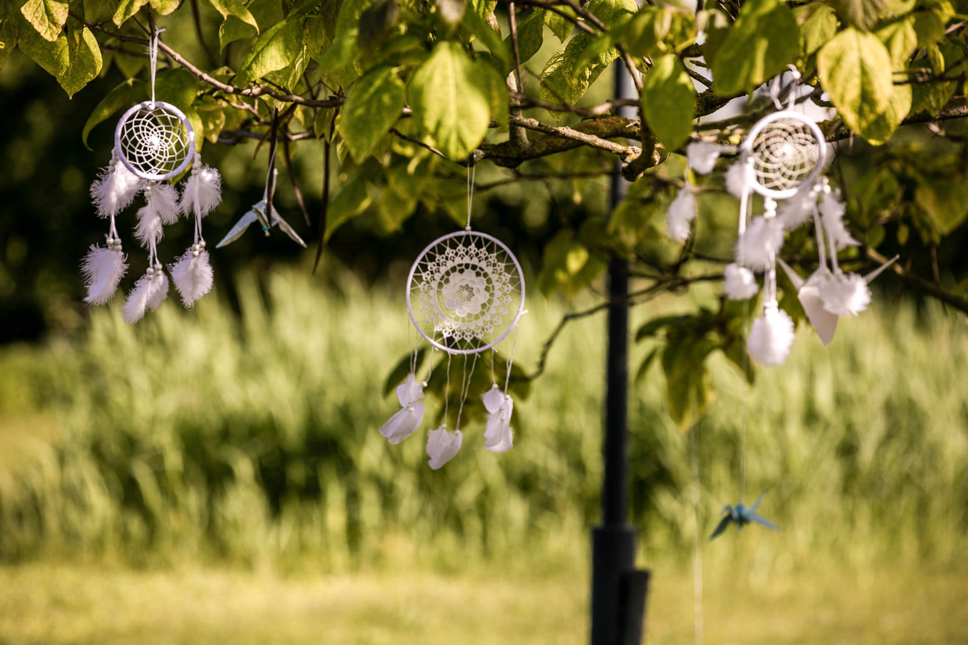 Dreamcatcher hängen am Baum auf einer freien Trauung/ Hochzeit